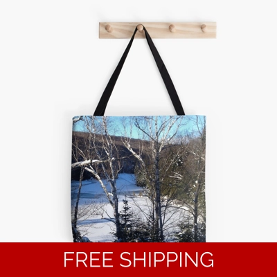 Le Studio Tote Bag Lake Perry Winter 2019 from Roof Top
